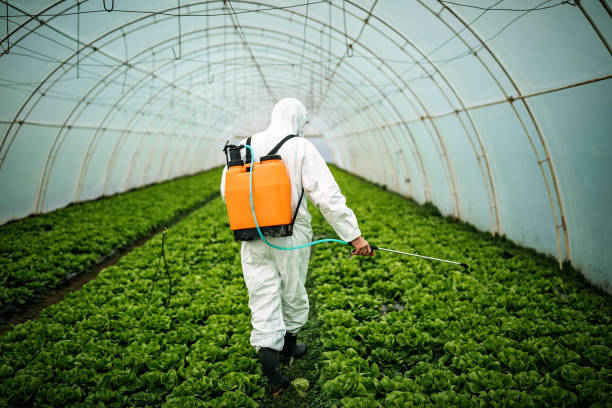 Best Pest Control for Homes  in Eutaw, AL