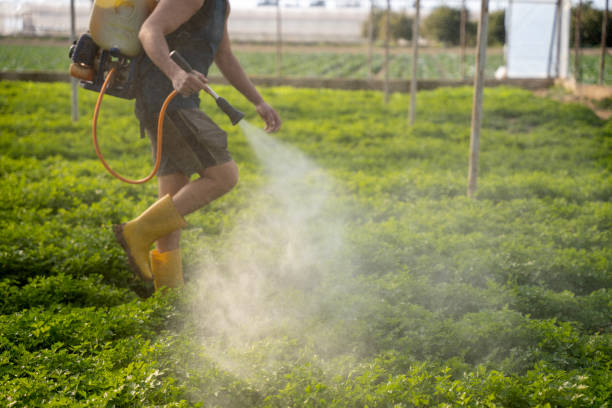 Best Pest Removal Services  in Eutaw, AL
