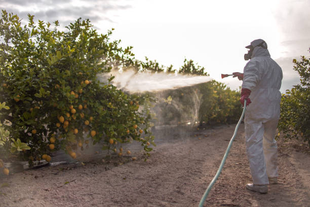 Insect Control in Eutaw, AL