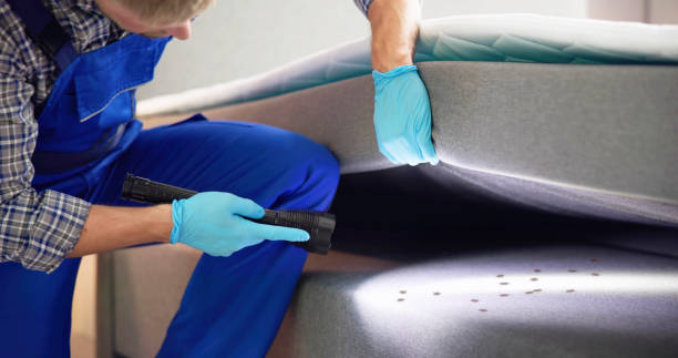 Pest Prevention Services in Eutaw, AL