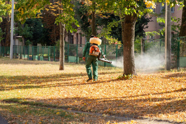 Best Best Pest Control Companies  in Eutaw, AL