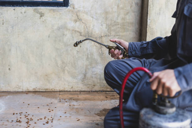 Professional Pest Control in Eutaw, AL